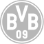 logo_bvb